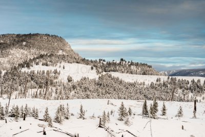 Yellowstone NP 20180120_0877.jpg