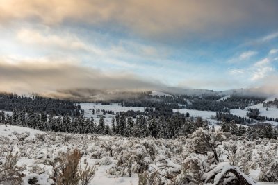 Yellowstone NP 20180120_0961.jpg