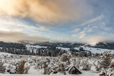 Yellowstone NP 20180120_0962.jpg