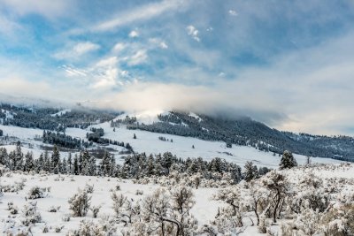 Yellowstone NP 20180120_0963.jpg