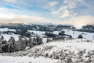 Yellowstone NP 20180120_0964.jpg