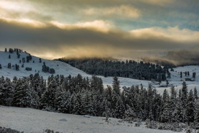 Yellowstone NP 20180120_0965.jpg