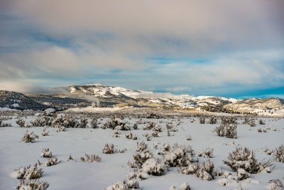 Yellowstone NP 20180120_0966.jpg