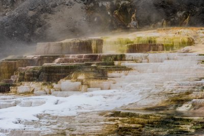 Yellowstone NP 20180119_0857.jpg