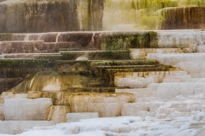 Yellowstone NP 20180119_0858.jpg