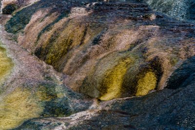 Yellowstone NP 20180119_0859.jpg