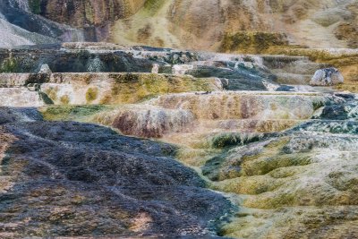 Yellowstone NP 20180119_0860.jpg