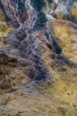 Yellowstone NP 20180119_0863.jpg