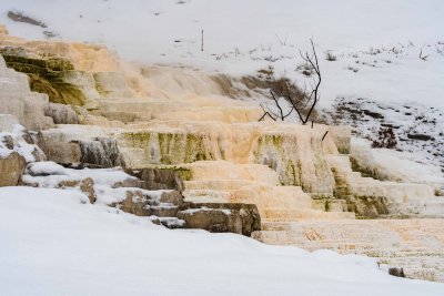 Yellowstone NP 20180119_0864.jpg