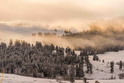 Yellowstone NP 20180120_0971.jpg