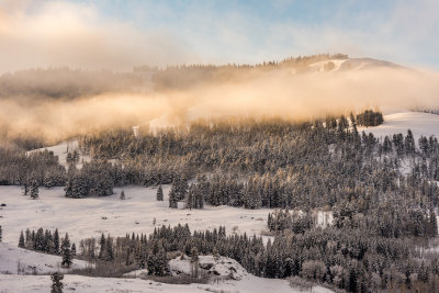 Yellowstone NP 20180120_0972.jpg