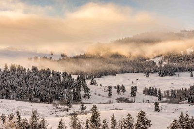 Yellowstone NP 20180120_0974.jpg