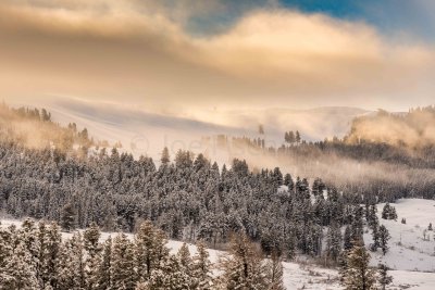 Yellowstone NP 20180120_0975.jpg