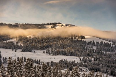 Yellowstone NP 20180120_0976.jpg