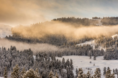 Yellowstone NP 20180120_0979.jpg