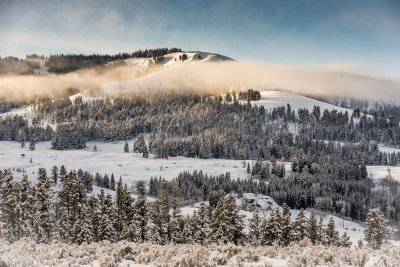 Yellowstone NP 20180120_0980.jpg