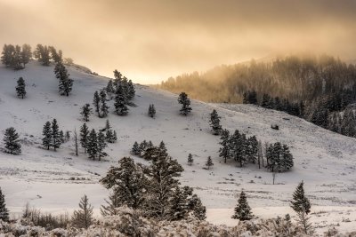 Yellowstone NP 20180120_0981.jpg
