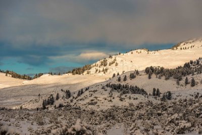 Yellowstone NP 20180120_0983.jpg