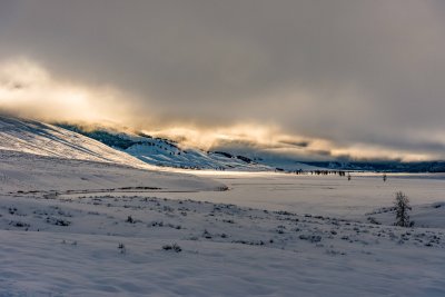 Yellowstone NP 20180120_0987.jpg