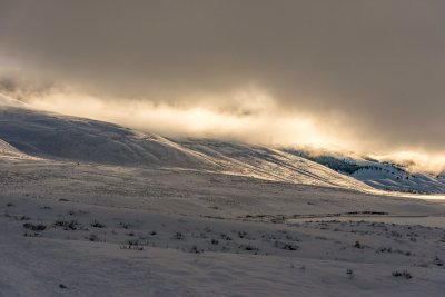 Yellowstone NP 20180120_0988.jpg