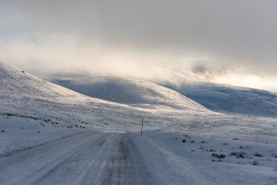 Yellowstone NP 20180120_0989.jpg