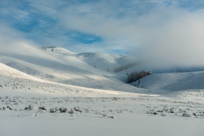 Yellowstone NP 20180120_0993.jpg