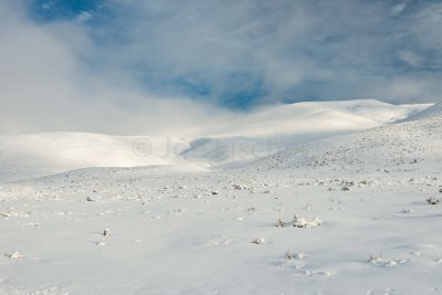 Yellowstone NP 20180120_0996.jpg