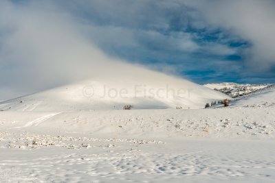Yellowstone NP 20180120_1000.jpg