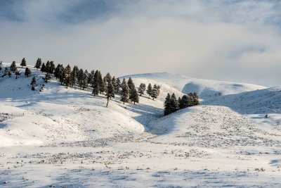 Yellowstone NP 20180120_1002.jpg