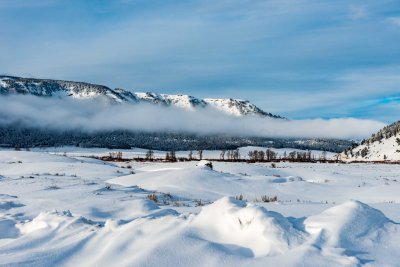 Yellowstone NP 20180120_1006.jpg