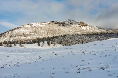 Yellowstone NP 20180120_1009.jpg