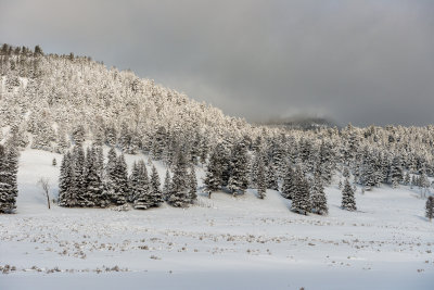 Yellowstone NP 20180120_1010.jpg