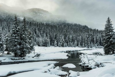 Yellowstone NP 20180120_1015.jpg