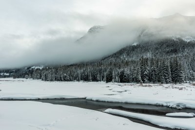 Yellowstone NP 20180120_1016.jpg
