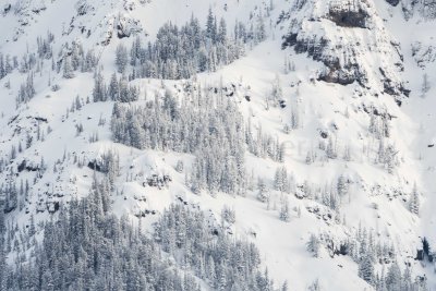 Yellowstone NP 20180120_1026.jpg