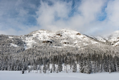 Yellowstone NP 20180120_1043.jpg