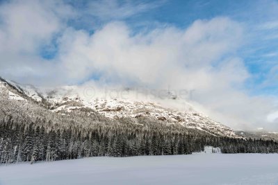 Yellowstone NP 20180120_1044.jpg