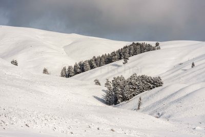 Yellowstone NP 20180120_1091.jpg