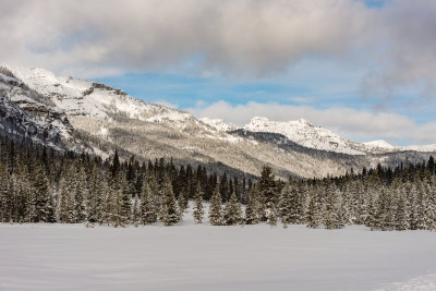 Yellowstone NP 20180120_1140.jpg