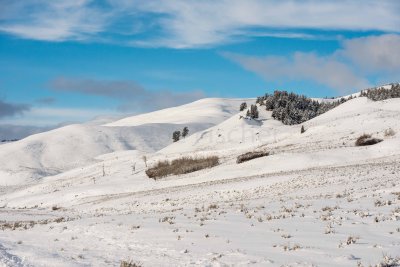 Yellowstone NP 20180120_1143.jpg