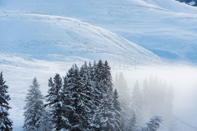 Yellowstone NP 20180121_1241.jpg