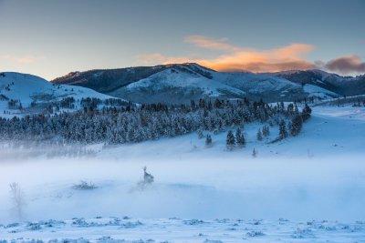 Yellowstone NP 20180121_1245.jpg
