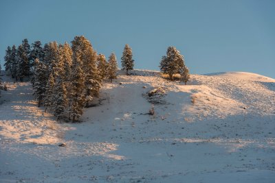 Yellowstone NP 20180121_1251.jpg