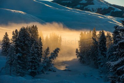 Yellowstone NP 20180121_1258.jpg