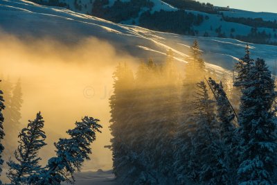 Yellowstone NP 20180121_1261.jpg