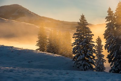 Yellowstone NP 20180121_1263.jpg