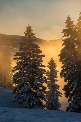 Yellowstone NP 20180121_1264.jpg