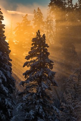 Yellowstone NP 20180121_1266.jpg