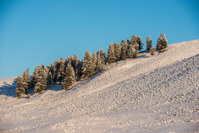 Yellowstone NP 20180121_1271.jpg