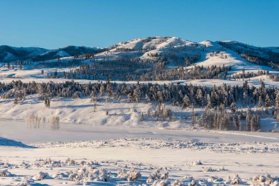 Yellowstone NP 20180121_1274.jpg